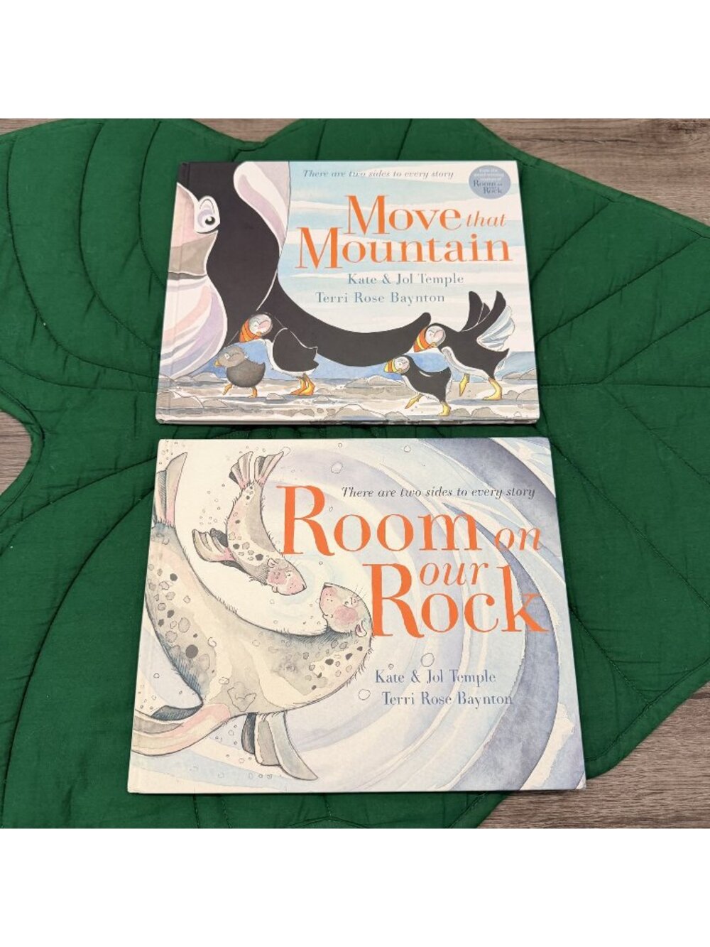 Usborne Kate & Jol Temple Book Bundle Move That Mountain Room On Our Rock